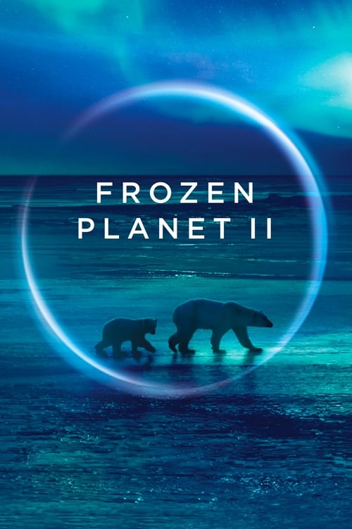 Frozen Planet II : 1.Sezon 1.Bölüm İzle