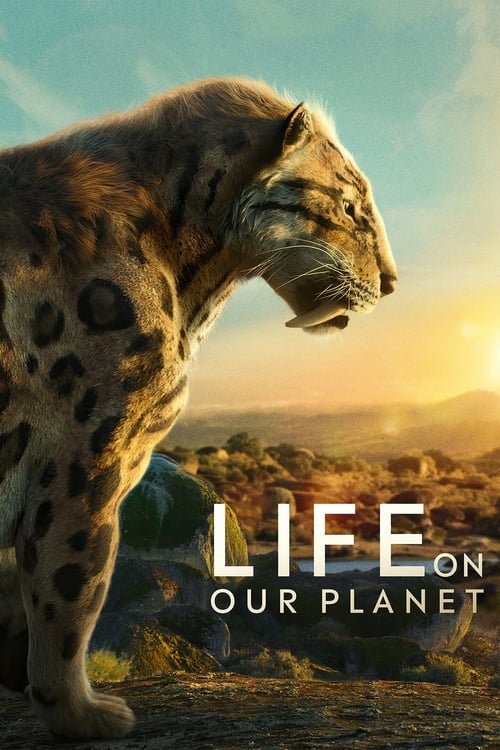 Life on Our Planet : 1.Sezon 8.Bölüm İzle